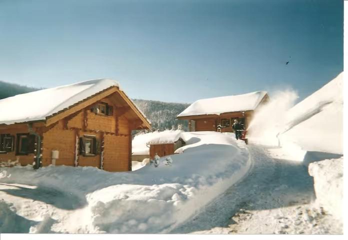 Le "Chalet De Minette" 2 Etoiles La Bresse Extérieur photo