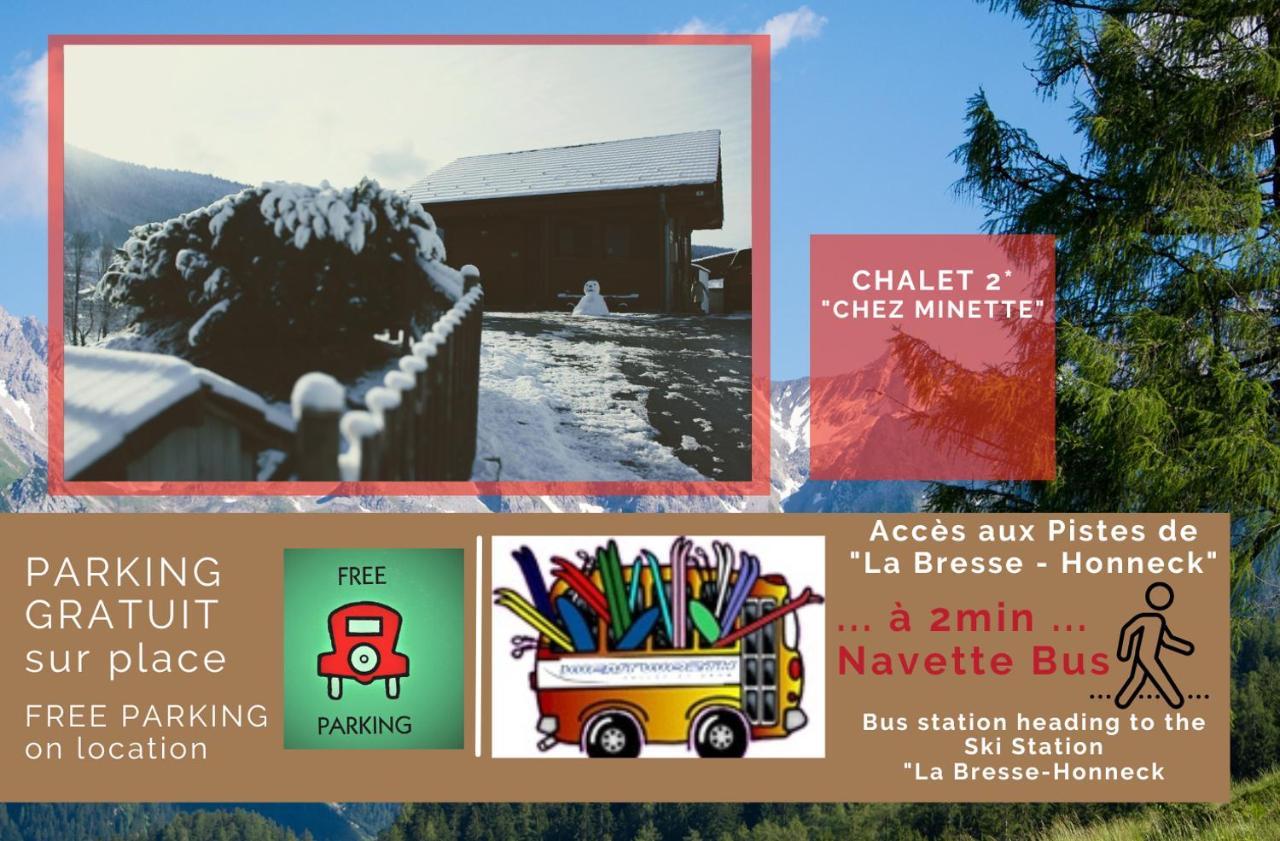 Le "Chalet De Minette" 2 Etoiles La Bresse Extérieur photo