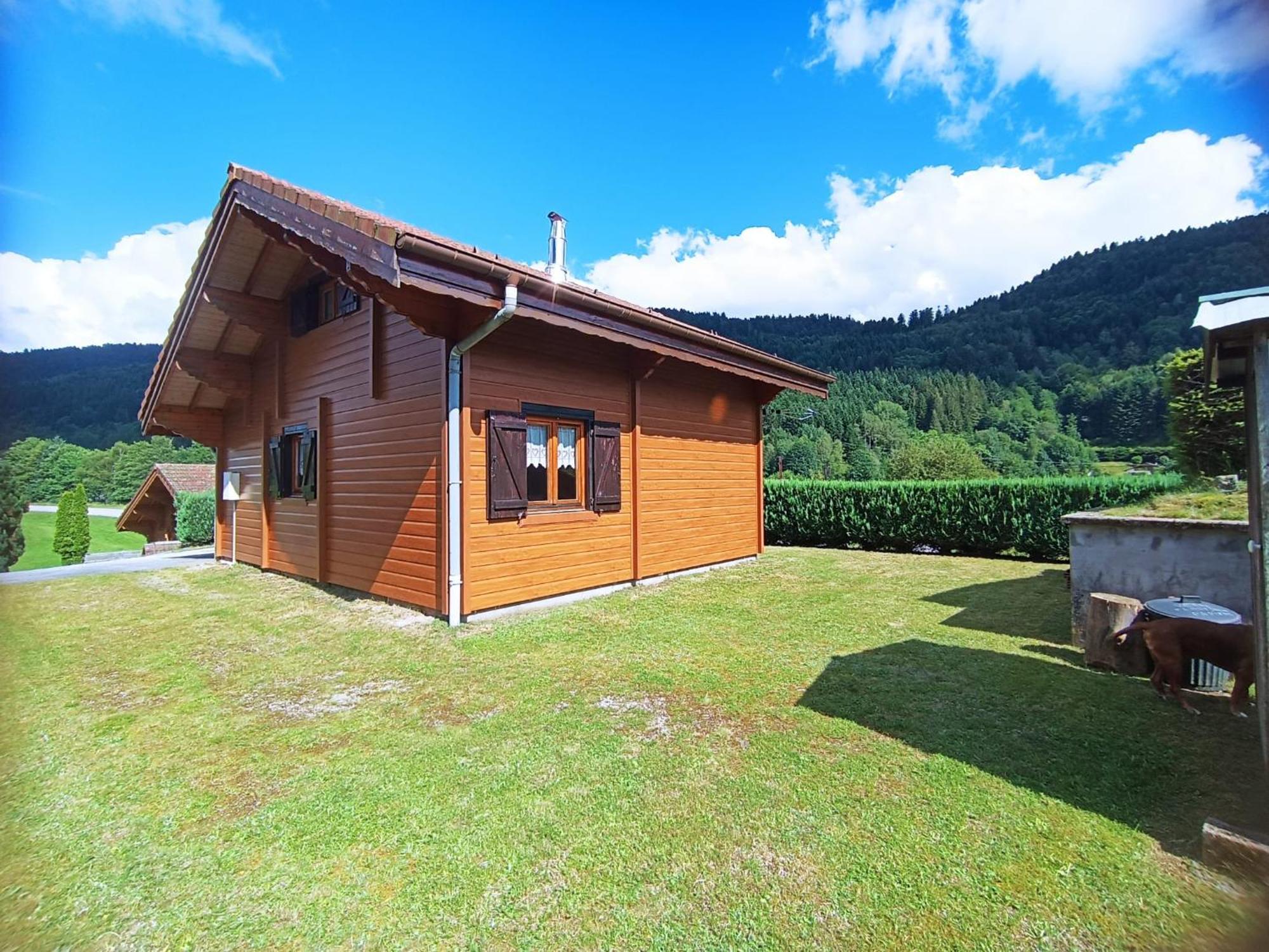 Le "Chalet De Minette" 2 Etoiles La Bresse Extérieur photo