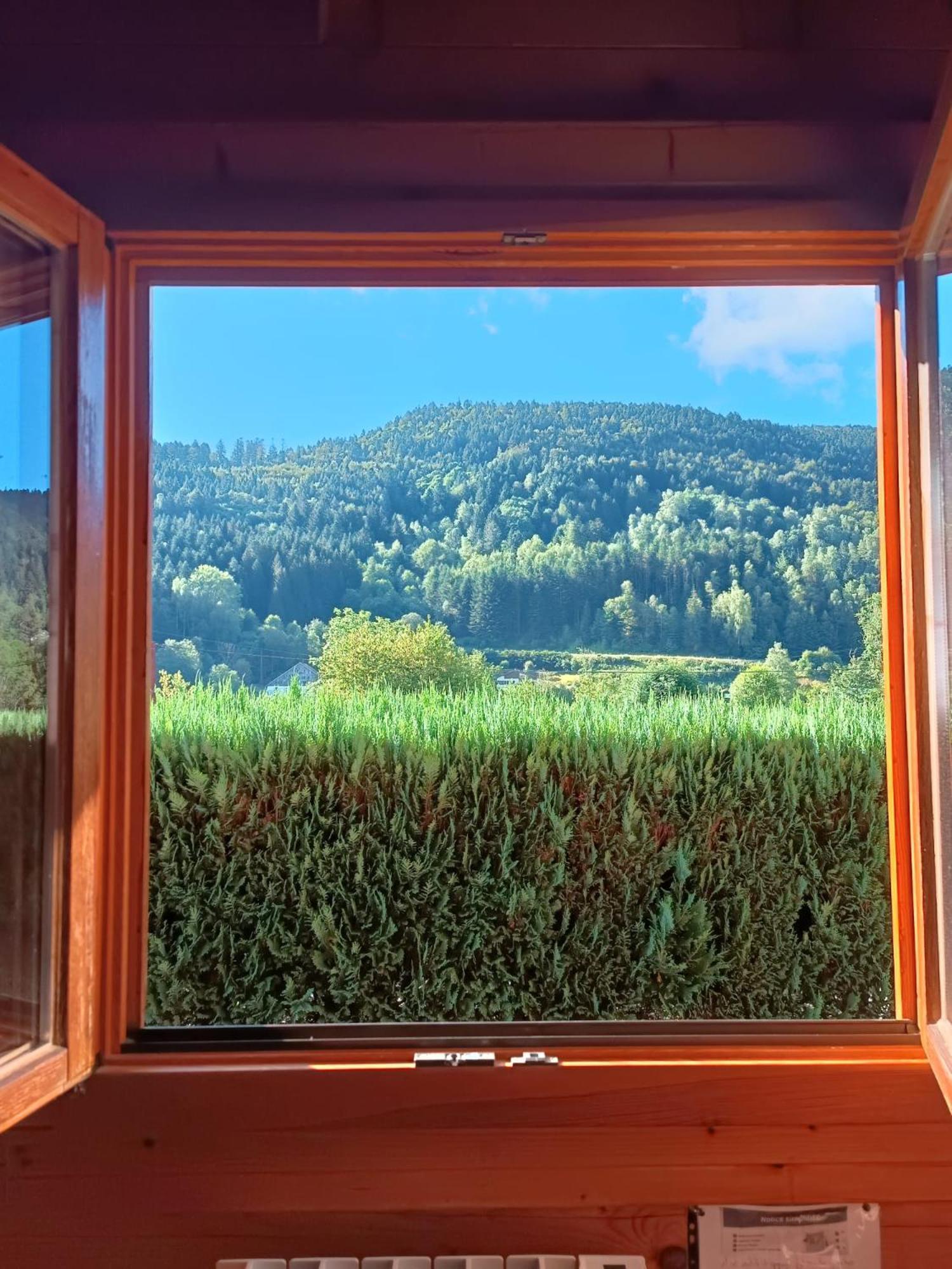 Le "Chalet De Minette" 2 Etoiles La Bresse Extérieur photo